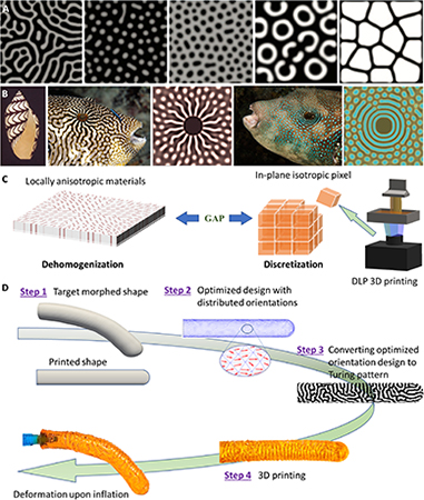 Turing pattern research 